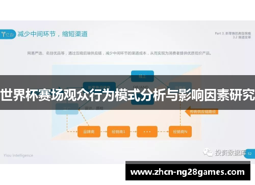 世界杯赛场观众行为模式分析与影响因素研究